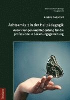 Kristina Gottschall - Achtsamkeit in Der Heilpadagogik: Auswirkungen Und Bedeutung Fur Die Professionelle Beziehungsgestaltung, Häftad