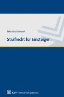 bokomslag Strafrecht für Einsteiger