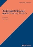 bokomslag Kindertagesförderungsgesetz Schleswig-Holstein