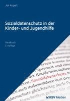 bokomslag Sozialdatenschutz in der Kinder- und Jugendhilfe