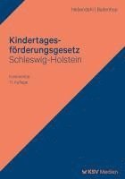 bokomslag Kindertagesförderungsgesetz Schleswig-Holstein