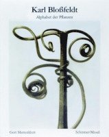 bokomslag Karl Blossfeldt: Alphabet of Plants