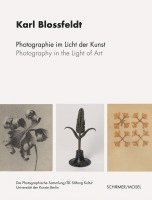 bokomslag Karl Blossfeldt: Photography in the Light of Art