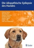 Andrea Fischer, Konrad Jurina, Kai Rentmeister, Andrea Tipold, Thilo von Klopmann, Heidrun Potschka, Holger Volk - Die idiopathische Epilepsie des Hundes, Häftad