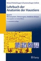 bokomslag Lehrbuch der Anatomie der Haustiere Band 4