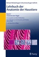 bokomslag Lehrbuch der Anatomie der Haustiere