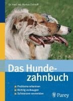 bokomslag Das Hundezahnbuch