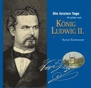 bokomslag Die letzten Tage im Leben von König Ludwig II