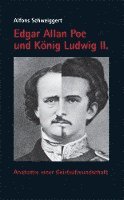 bokomslag Edgar Allan Poe und König Ludwig II.