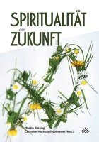 bokomslag Spiritualität der Zukunft