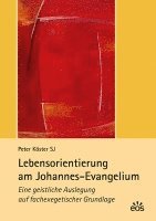 bokomslag Lebensorientierung am Johannes-Evangelium