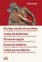 bokomslag Die Liebe, nach der wir uns sehnen