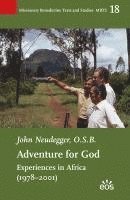 bokomslag Adventure for God. Experiences in Africa (1978-2001)