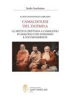 bokomslag Camaldolesi del duemila