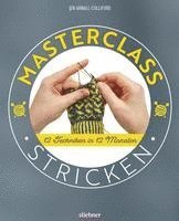 bokomslag Masterclass Stricken