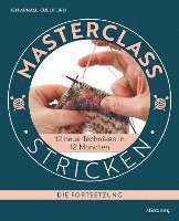 bokomslag Masterclass Stricken - Die Fortsetzung