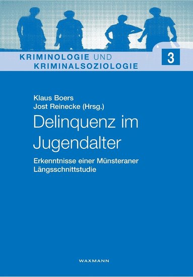 Klaus Boers, Jost Reinecke - Delinquenz im Jugendalter, Häftad