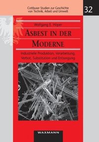 bokomslag Asbest in der Moderne
