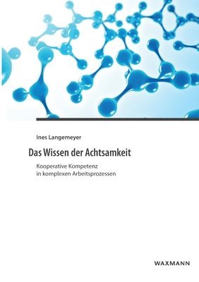 bokomslag Das Wissen der Achtsamkeit