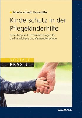 bokomslag Kinderschutz in der Pflegekinderhilfe