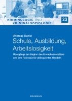 bokomslag Schule, Ausbildung, Arbeitslosigkeit