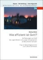 bokomslag Wie effizient ist Gott?