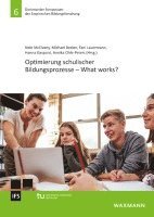Nele Mcelvany, Michael Becker, Fani Lauermann, Hanna Gaspard, Annika Ohle-Peters - Optimierung schulischer Bildungsprozesse - What works?, Häftad