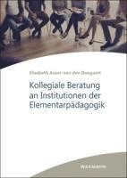 bokomslag Kollegiale Beratung an Institutionen der Elementarpädagogik