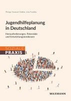 bokomslag Jugendhilfeplanung in Deutschland