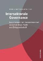 bokomslag Intersektorale Governance