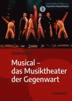 bokomslag Musical - das Musiktheater der Gegenwart