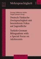 bokomslag Deutsch-Türkische Zweisprachigkeit mit besonderem Fokus auf Jugendliche