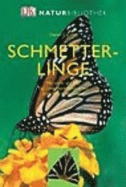 bokomslag Natur-Bibliothek Schmetterlinge