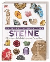 Steine, Inbunden