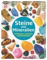 bokomslag Steine und Mineralien