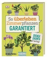 bokomslag So überleben Zimmerpflanzen garantiert