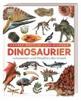 bokomslag Dinosaurier