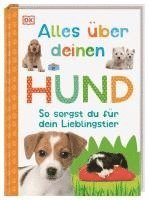 bokomslag Alles über deinen Hund