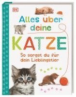 bokomslag Alles über deine Katze