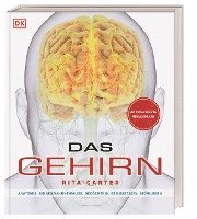 Das Gehirn 1