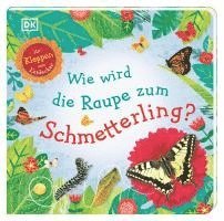 bokomslag Wie wird die Raupe zum Schmetterling?