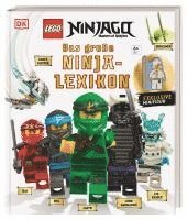bokomslag Kaplan, A: LEGO¿ NINJAGO¿ Das große Ninja-Lexikon