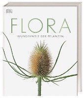 bokomslag Flora - Wunderwelt der Pflanzen