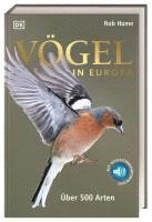 bokomslag Vögel in Europa