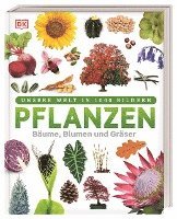 Pflanzen 1