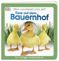 Wer versteckt sich da. Tiere auf dem Bauernhof
