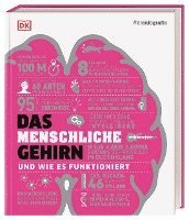 #dkinfografik. Das menschliche Gehirn und wie es funktioniert 1