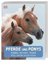 bokomslag Pferde und Ponys