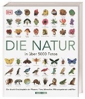 Die Natur in über 5000 Fotos 1