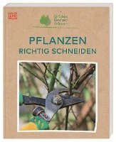 bokomslag Grünes Gartenwissen. Pflanzen richtig schneiden